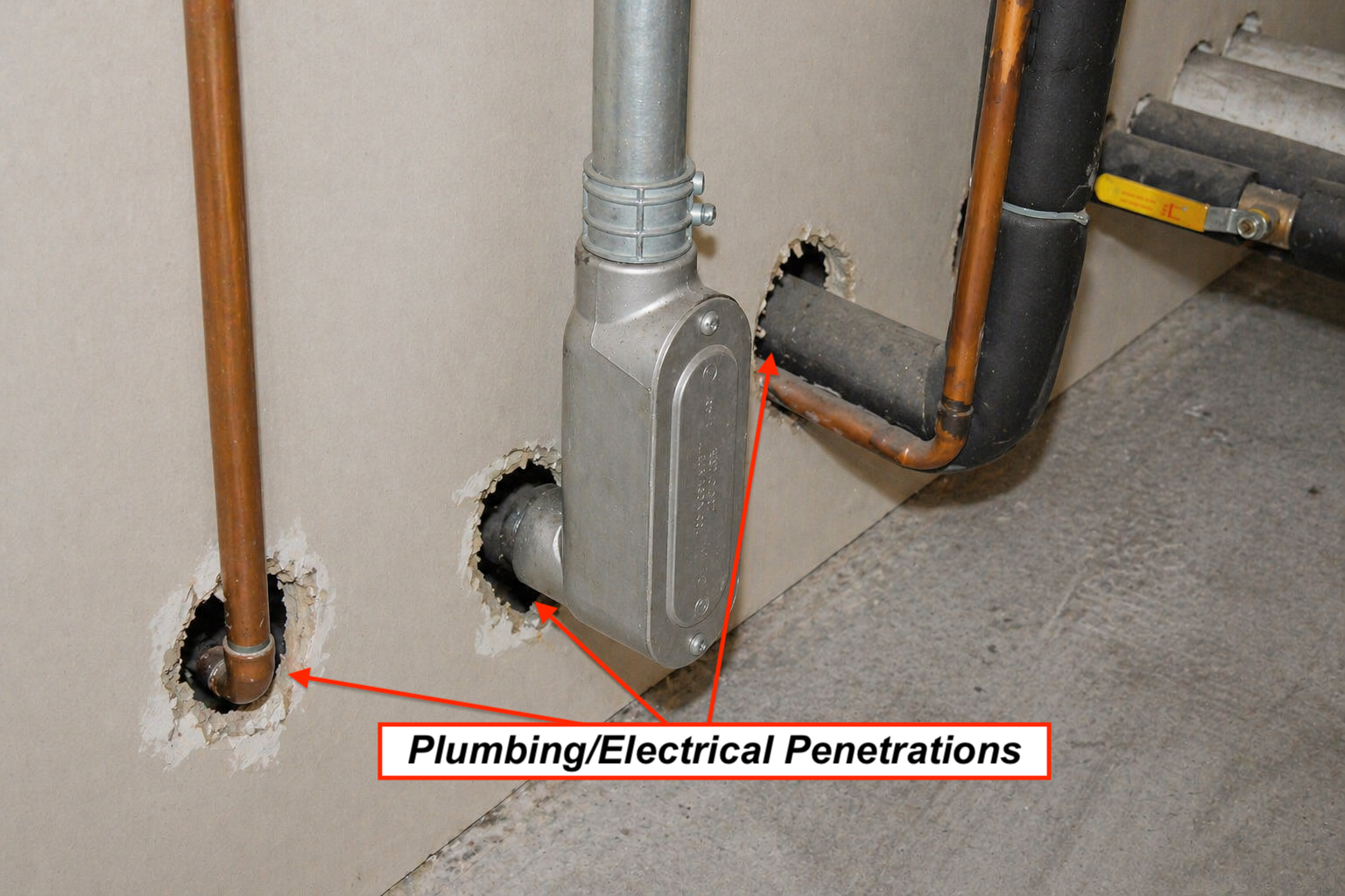plumbing Plumbing penetrations not sealed.